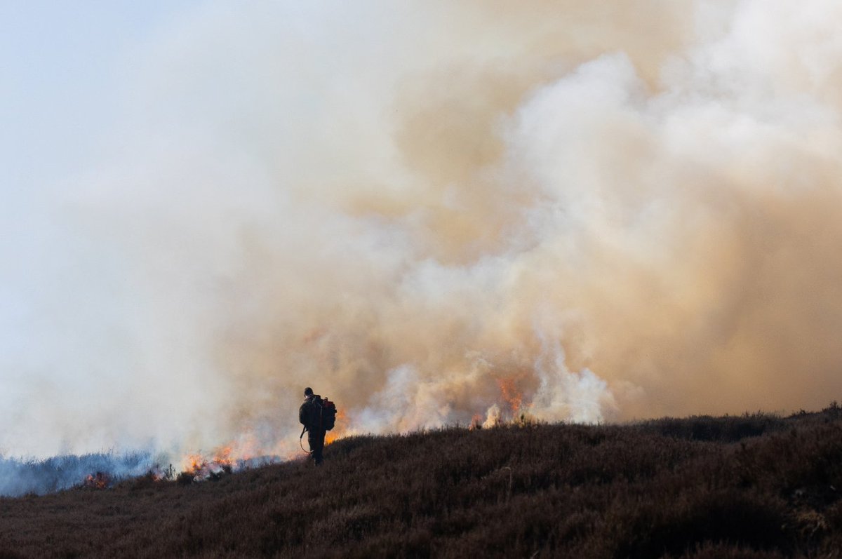 Countryside Alliance tweet media