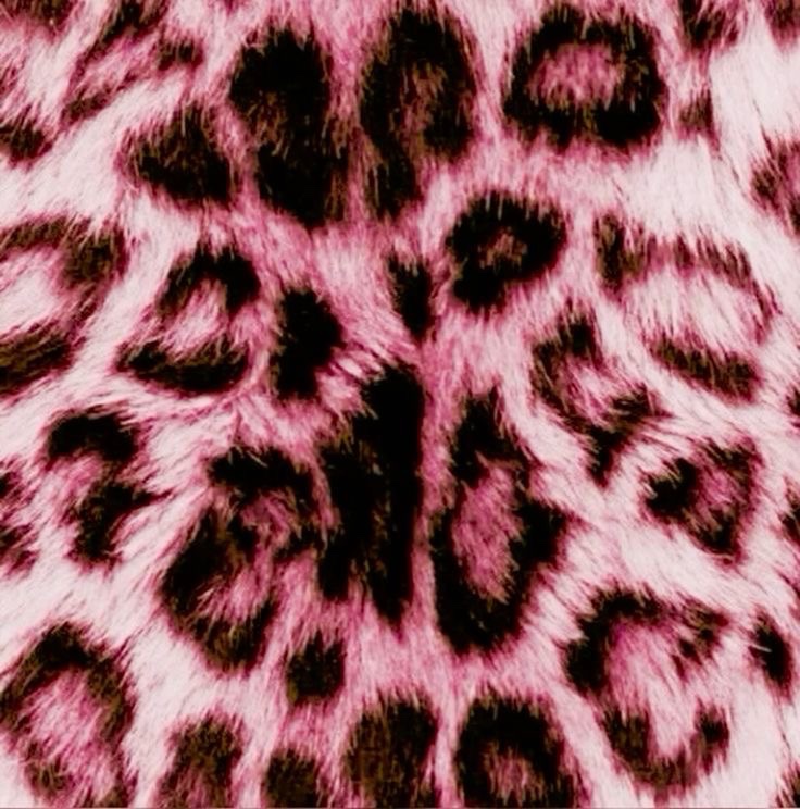 chane 𐔌♫ྀི𓈒 ݁⋆ tweet media