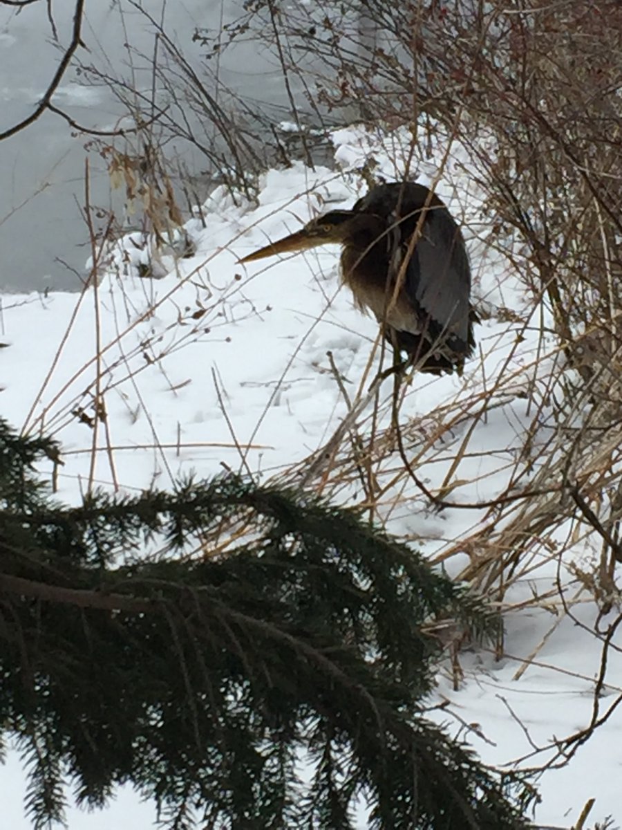 Michael Jacobs tweet media