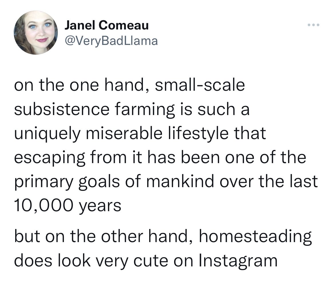 Janel Comeau 🍁 tweet media