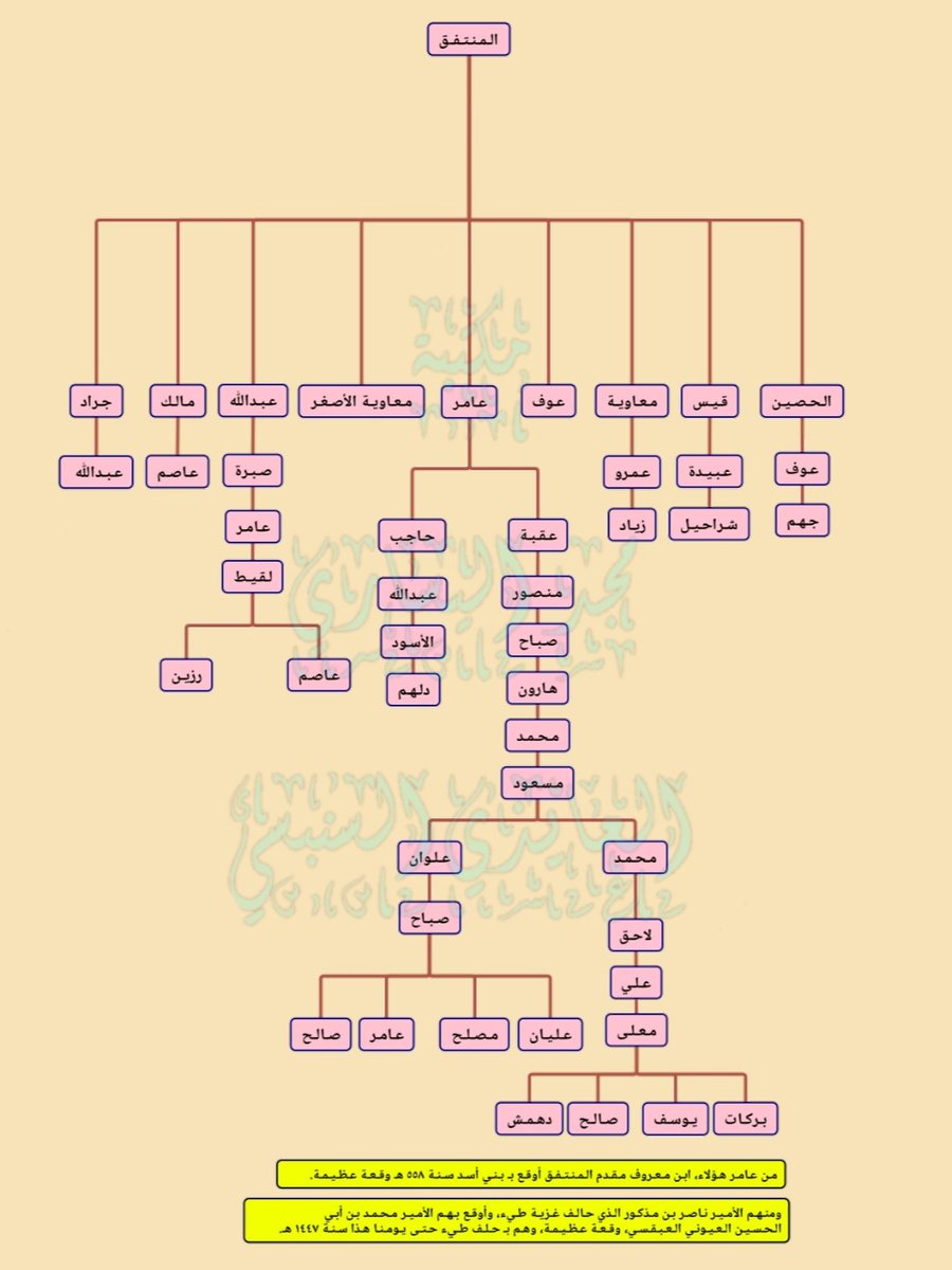المشجرة الخاصة بـ المنتفق بن عامر بن عقيل.

ومنهم بنو عامر بن المنتفق وهم رؤساء المنتفق وأشهر فروعهم، وعامر هؤلاء ذكرهم الحمداني، حين أورد أبناء عمومتهم بني عامر من ولد عوف بن عامر بن عقيل أخي المنتفق، فقال وعامر هؤلاء غير عامر المنتفق وغير عامر بن صعصعة.

فأما عامر المنتفق فـ هم