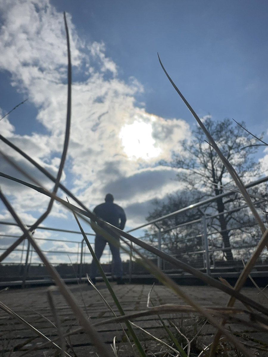 Daniel Lewakowski tweet media