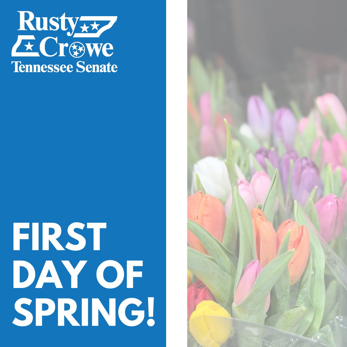 Rusty Crowe tweet media