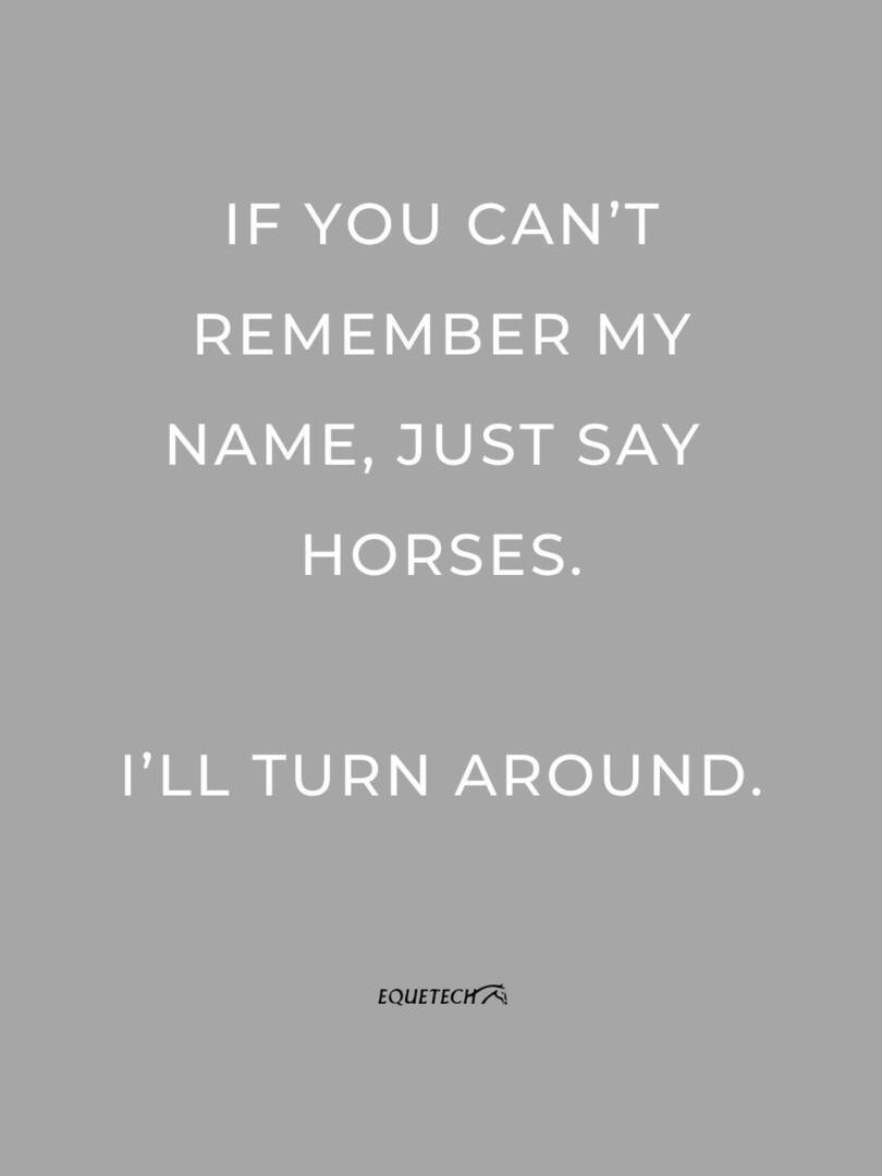 Equetech tweet media