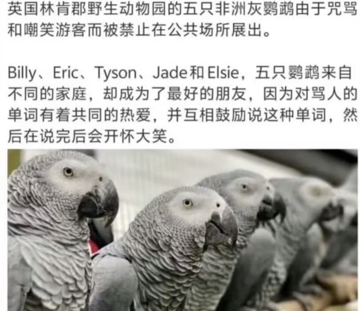 由依🍥 tweet media