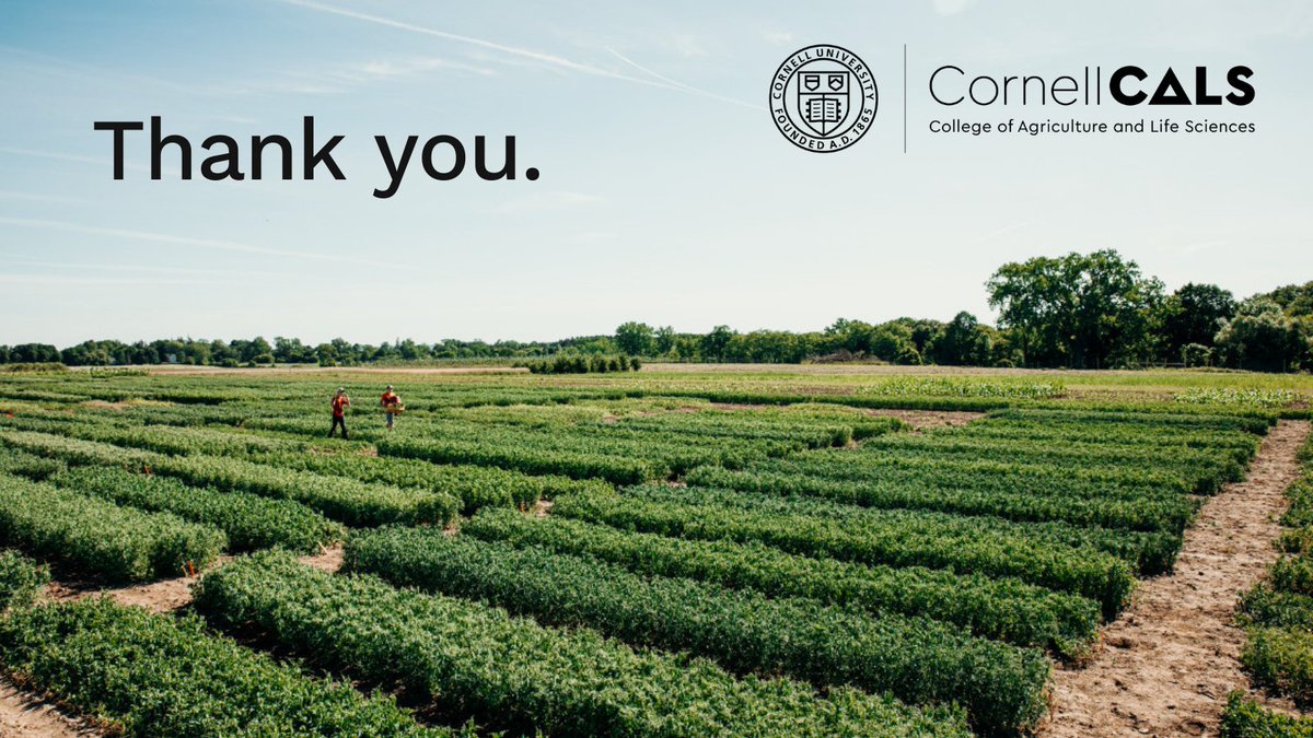 Cornell CALS tweet media