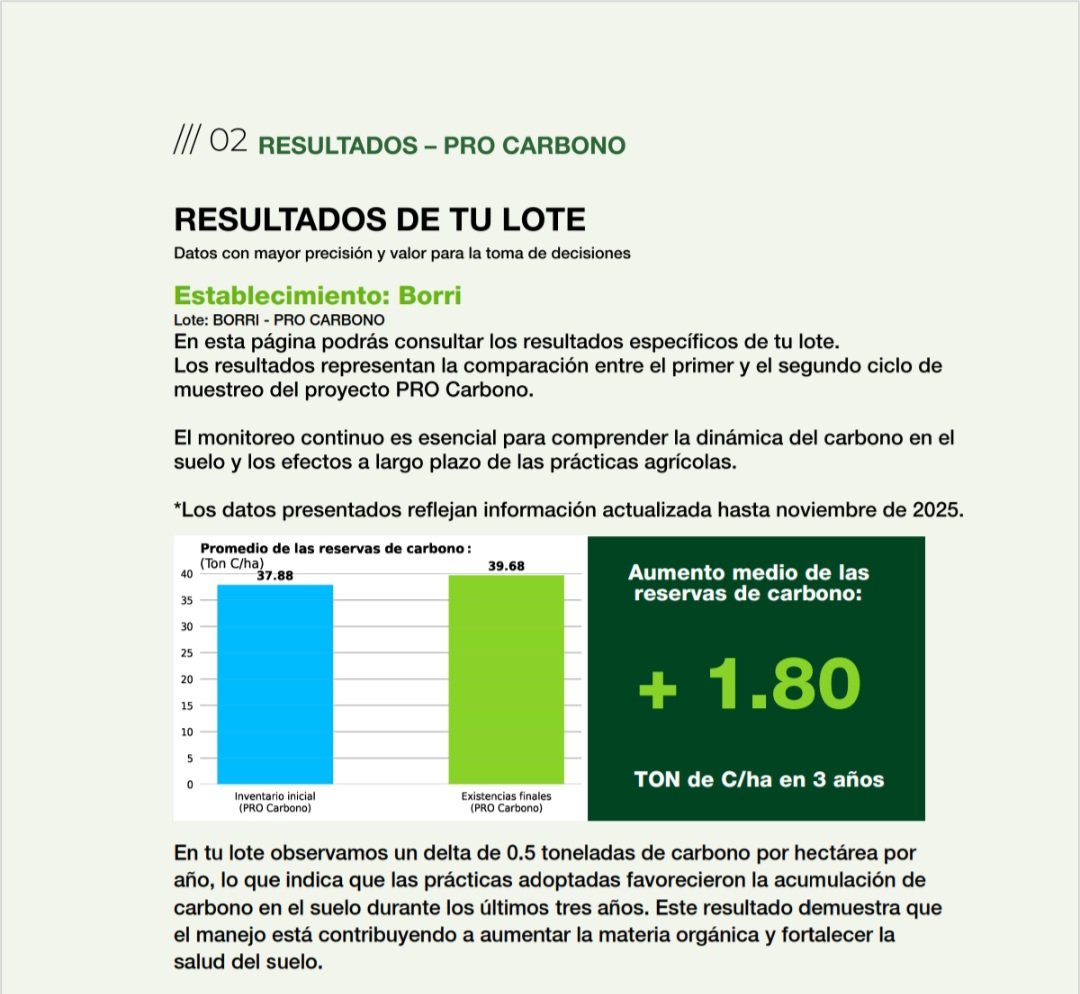 Juan Pablo Alzapiedi tweet media