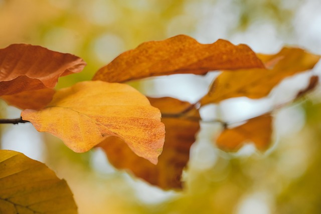 Heidi Wilkins tweet media