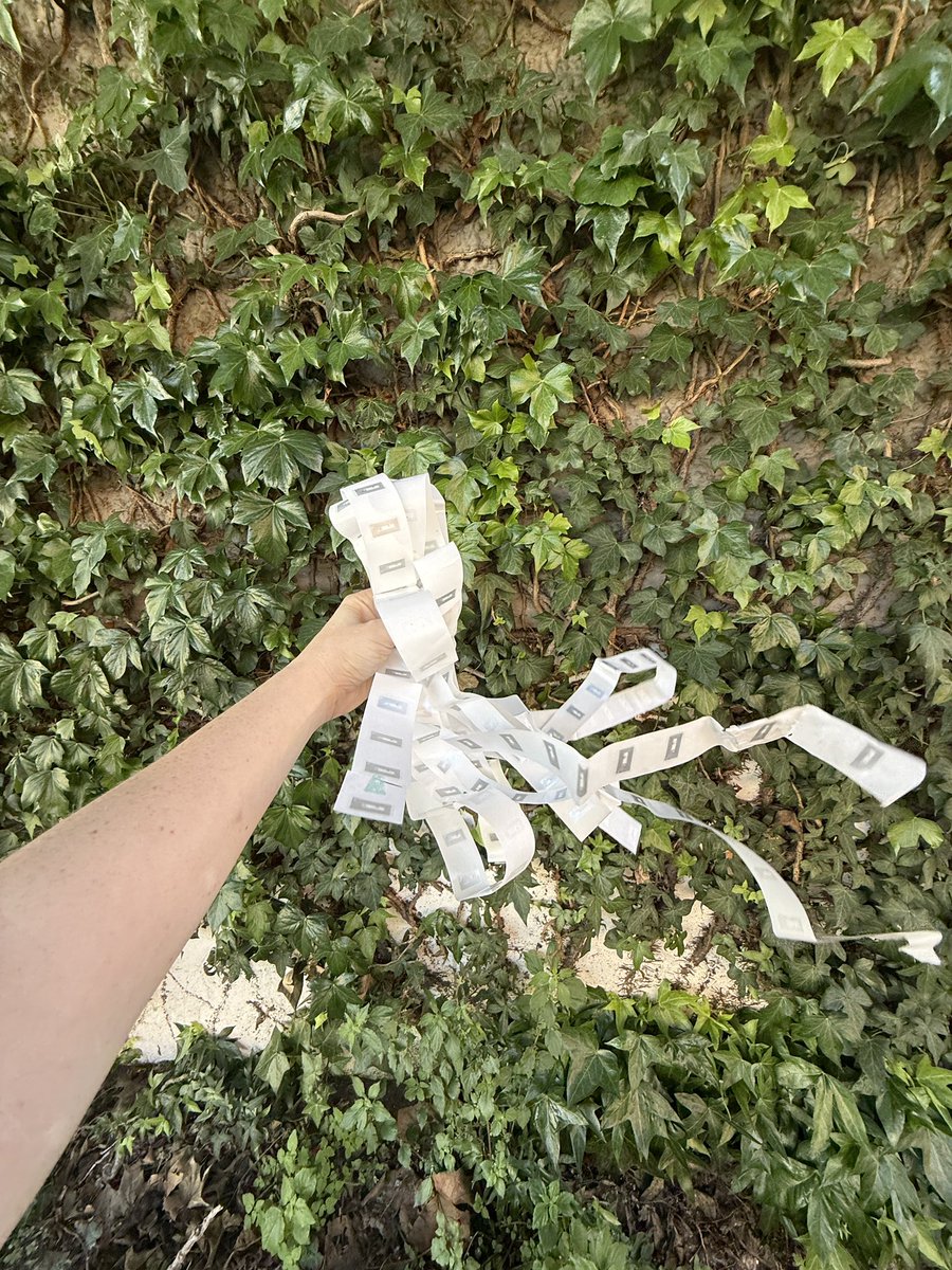 Chairman Birb Bernanke tweet media