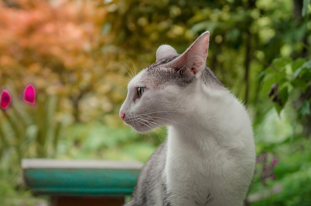 Chelsea Frodsham tweet media