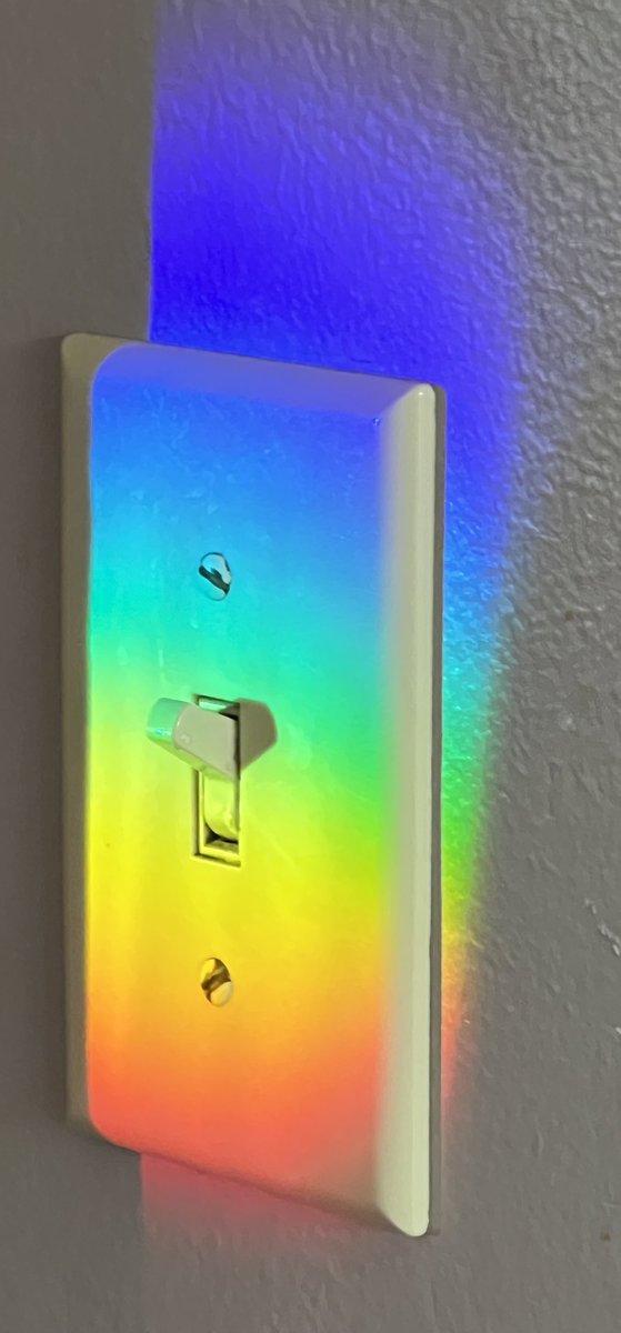 Julie Anne Peterson tweet media