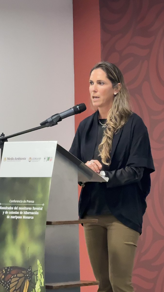 Mariana Boy tweet media