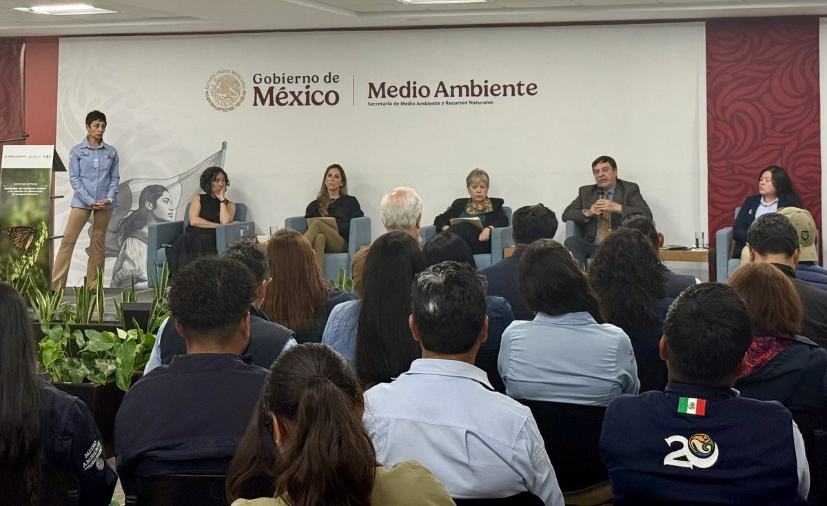 Mariana Boy tweet media