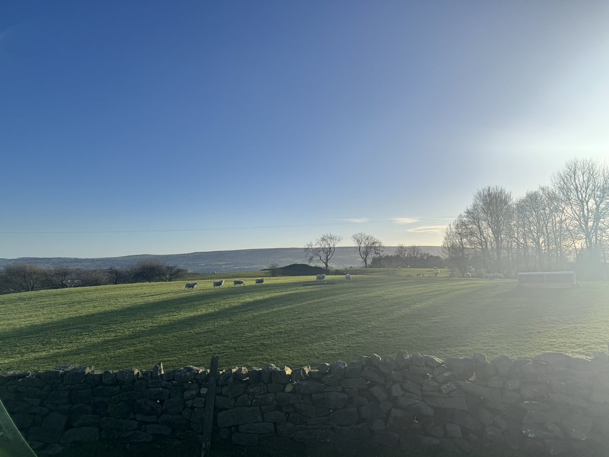 Pope Grumpnatious III tweet media