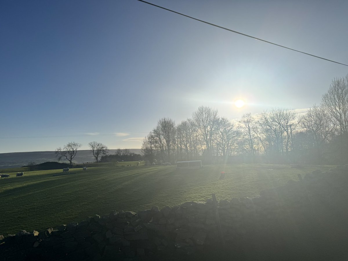 Pope Grumpnatious III tweet media