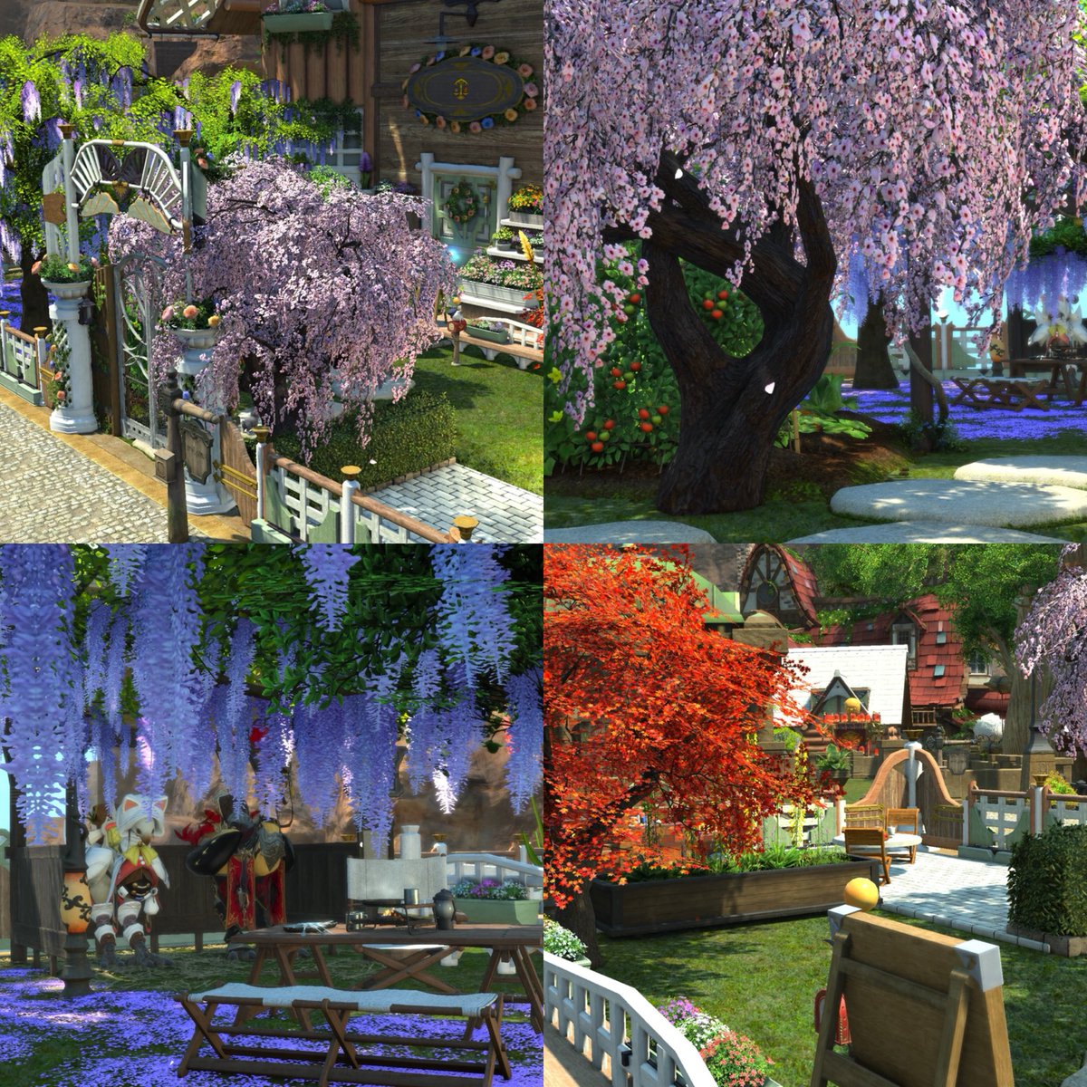 𓆩♡𓆪🇫🇷 Erin 🇵🇸 𓆩♡𓆪 tweet media