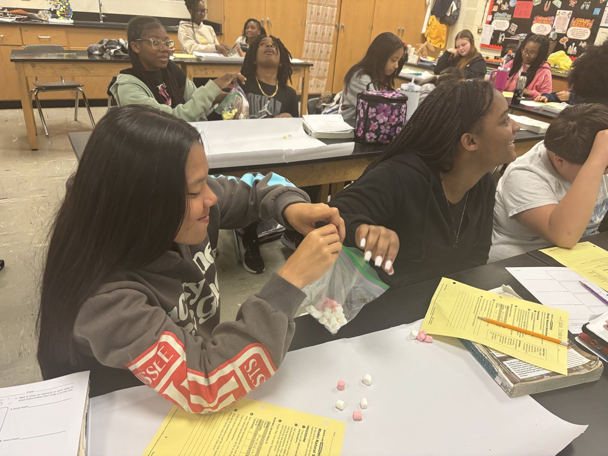 Mrs. Lindsey's Class 7th Grade Science Dept. Chair tweet media