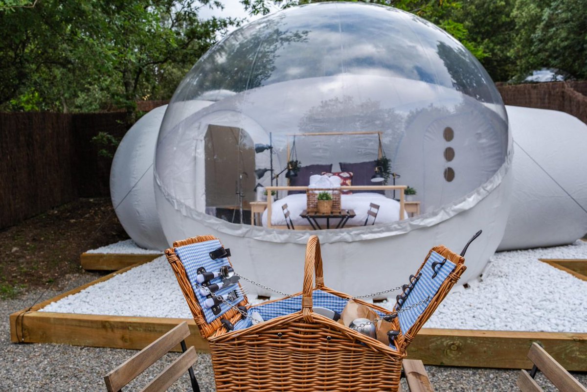 Spain in USA tweet media