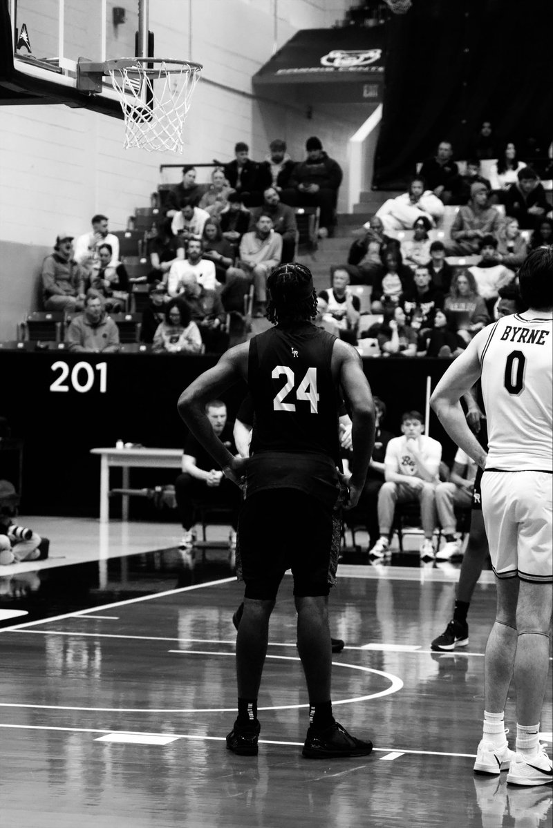 Cameron Wallace tweet media