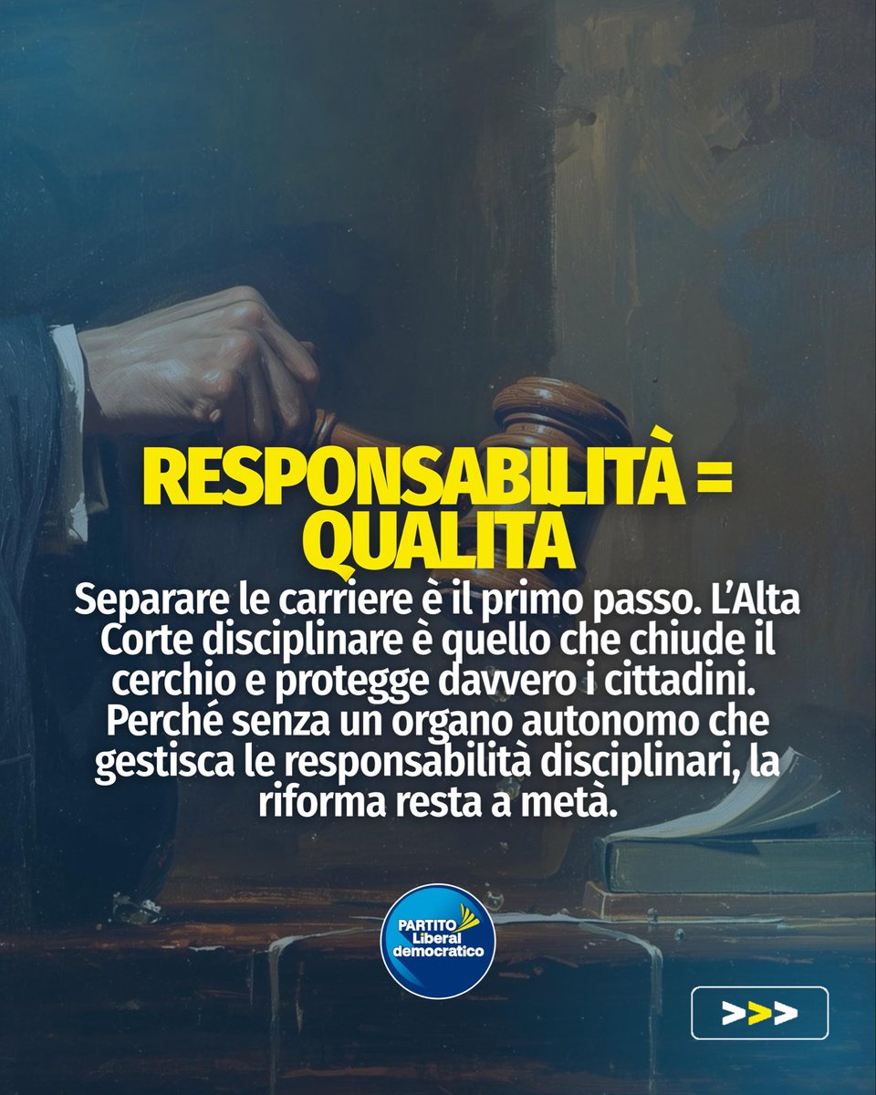 Partito Liberaldemocratico tweet media