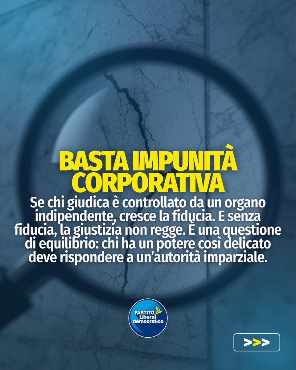 Partito Liberaldemocratico tweet media