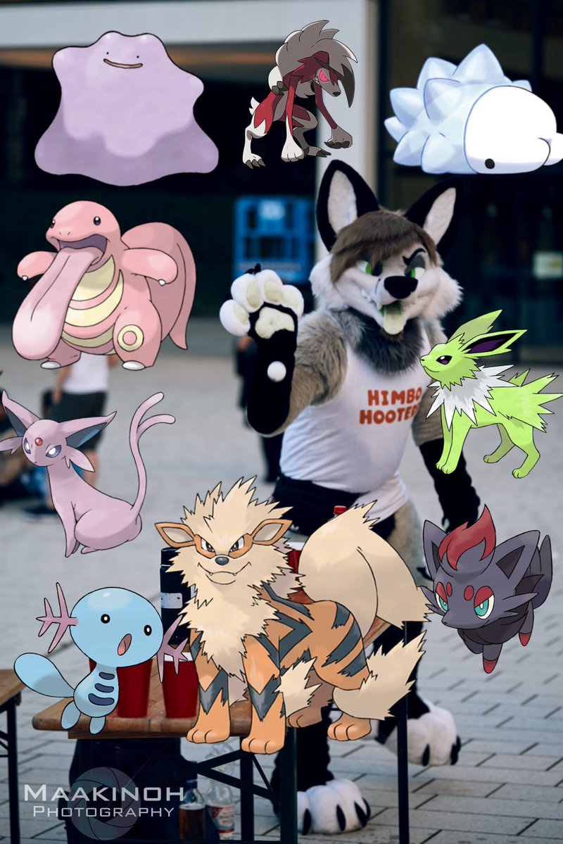 JAY FOXCAT 𓃦 tweet media