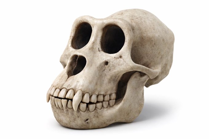 Sailor Gary tweet media