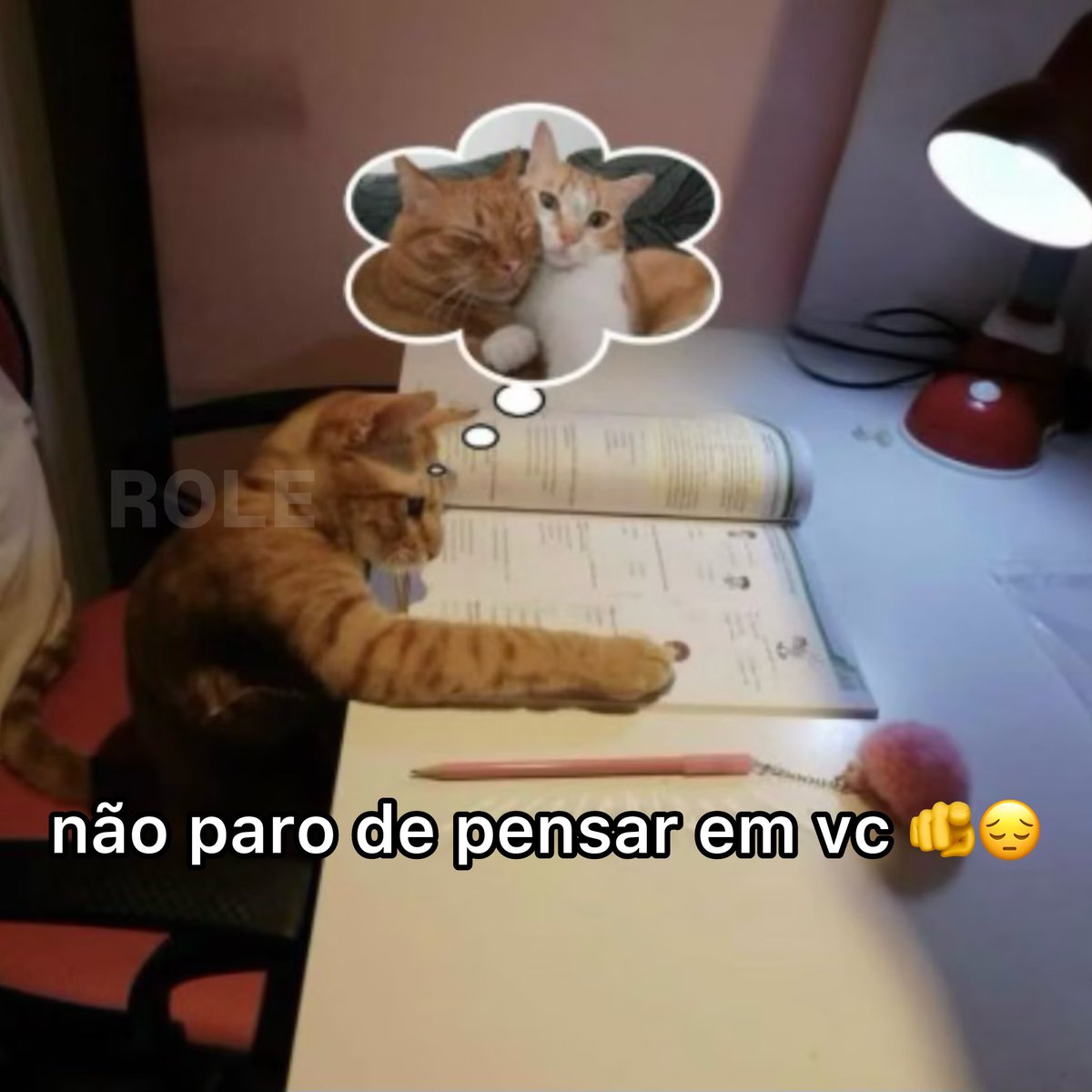 Rolê Aleatório tweet media