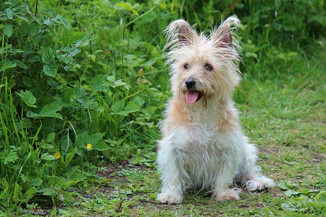 Nick Henry tweet media