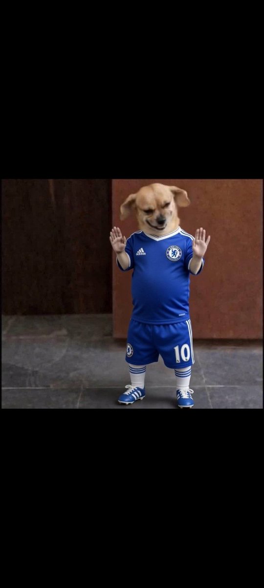 Eben Ezer tweet media