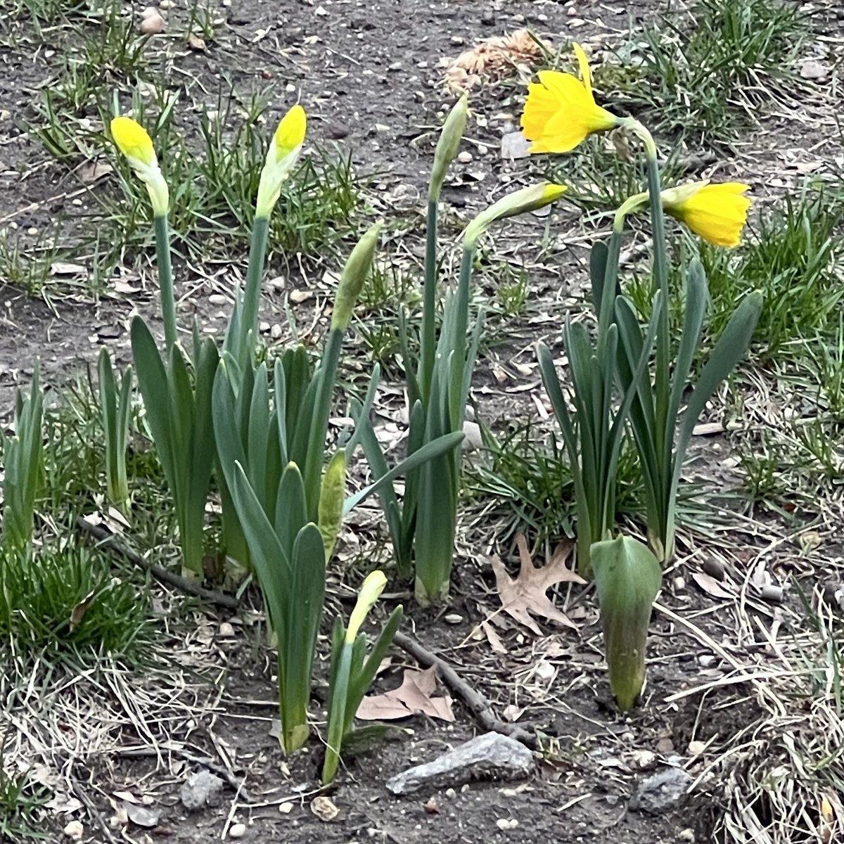 brice hammack tweet media