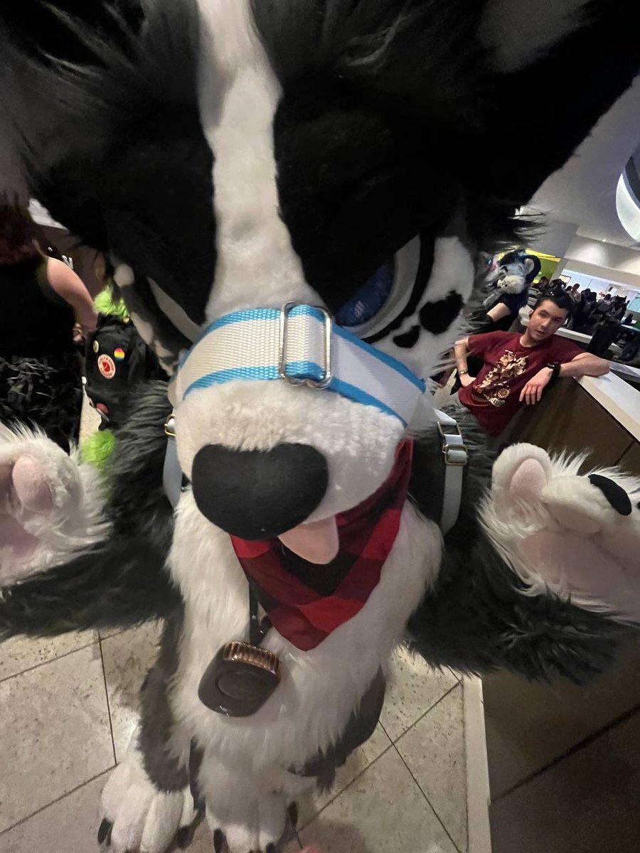 DIOR🐶 (2 PIECE) 🔜 TFF, LVFC 🎰 tweet media