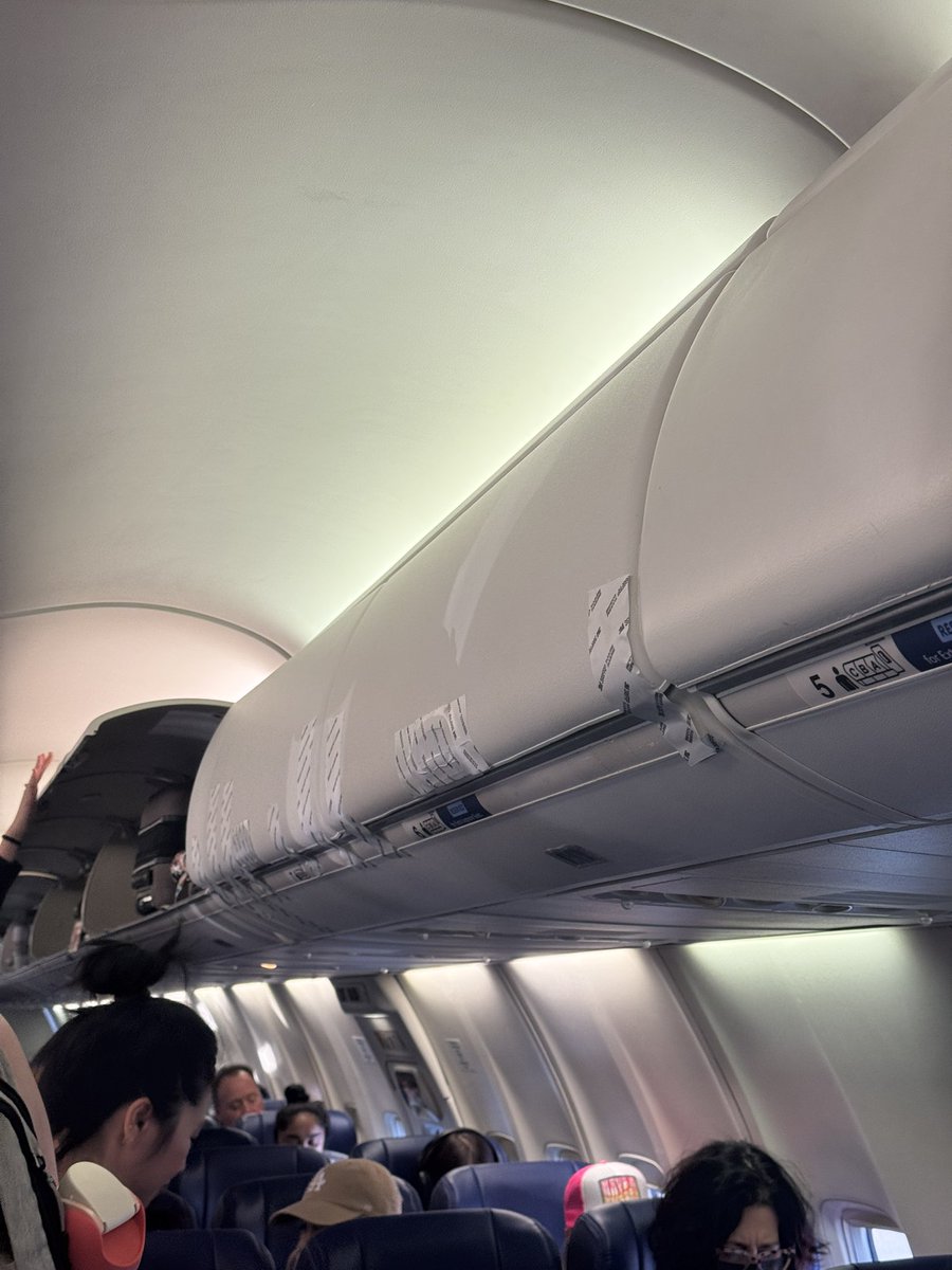 Maya Polon tweet media