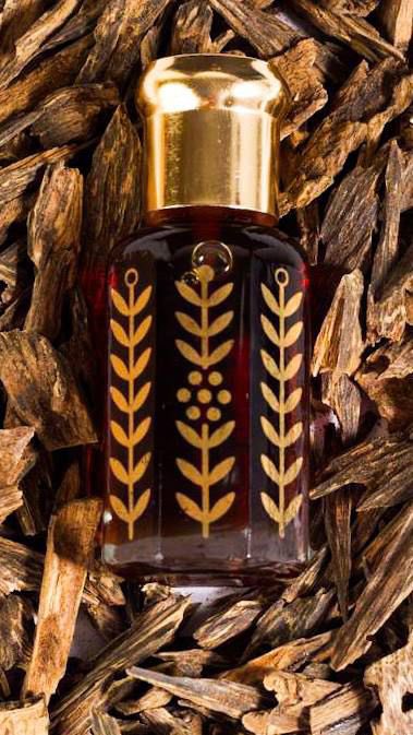 المقبس للعود tweet media