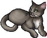 daily warrior cats pairs! tweet media