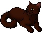 daily warrior cats pairs! tweet media