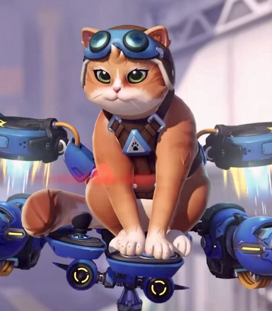 Albi (SideArms) tweet media