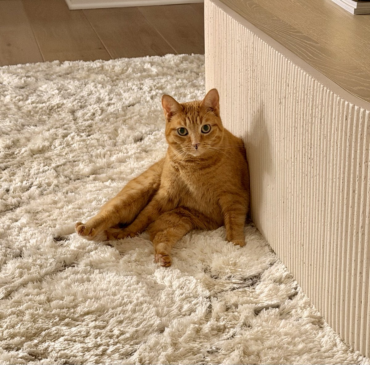 Albi (SideArms) tweet media