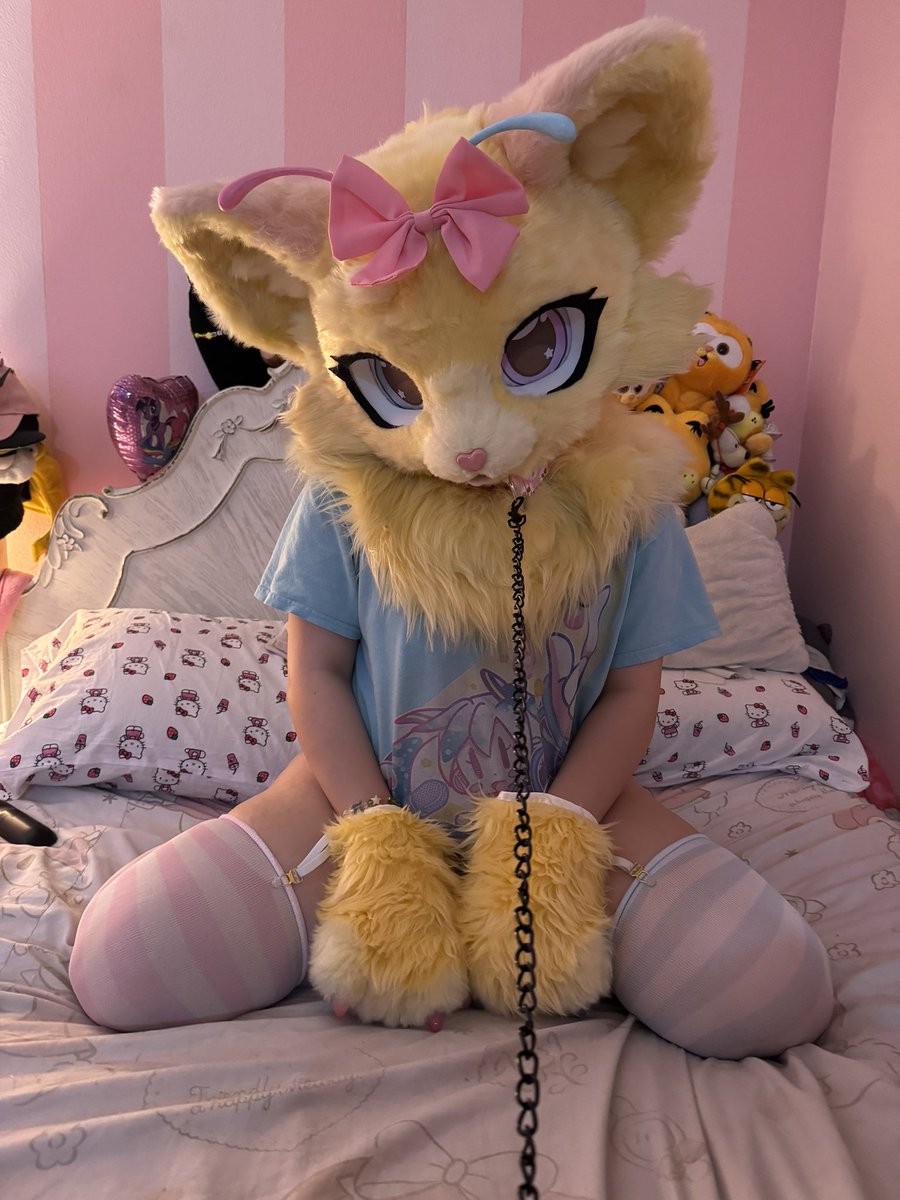 𓊆ྀི𝑱𝒆𝒍𝒍𝒊𝒆𓊇ྀི🔜AX tweet media