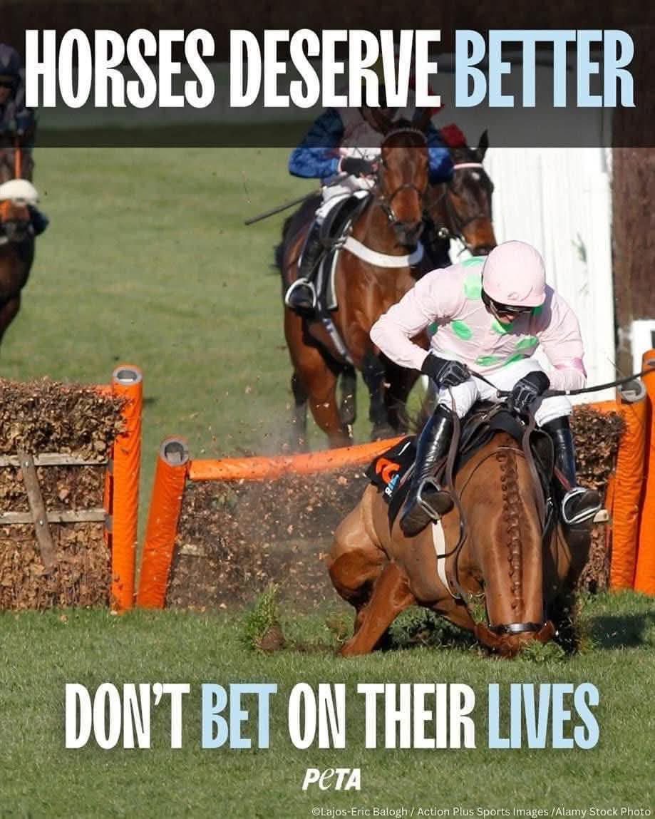 dominic dyer tweet media