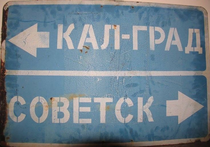 カモメ°🛟 tweet media