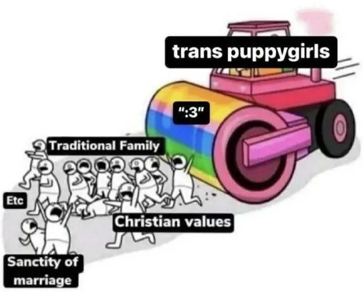 Gay Frog 🏳️‍⚧️ tweet media