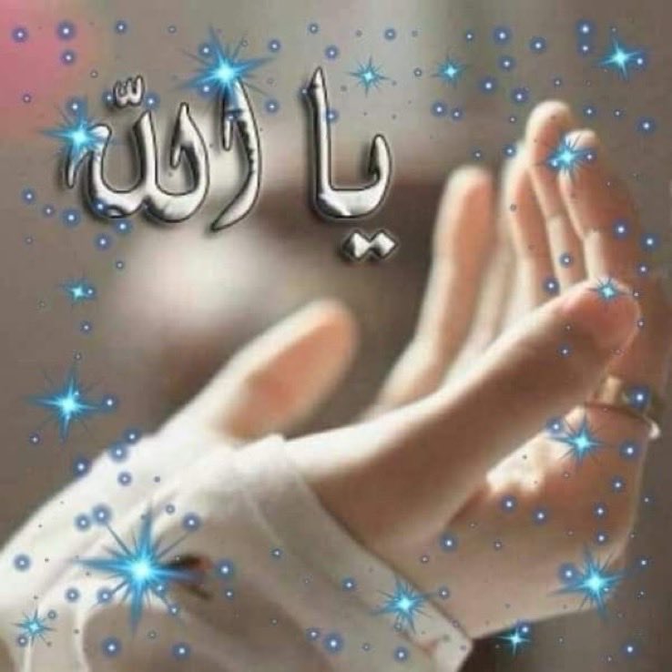 ‏♔ڄٌۅۅۅًد🕊♔ tweet media