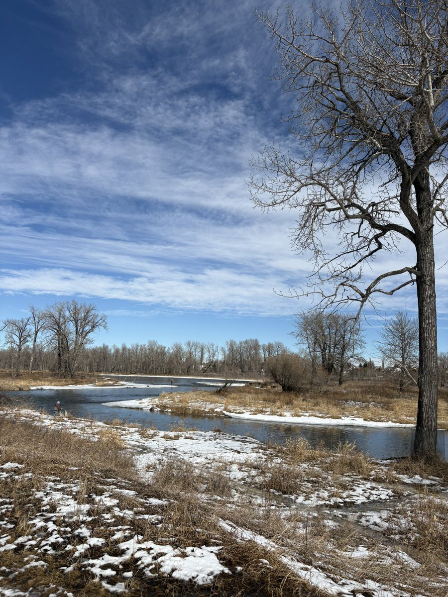 🇯🇲🇧🇿🇨🇦 Kam tweet media