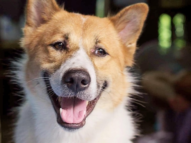 Brian Barnes tweet media