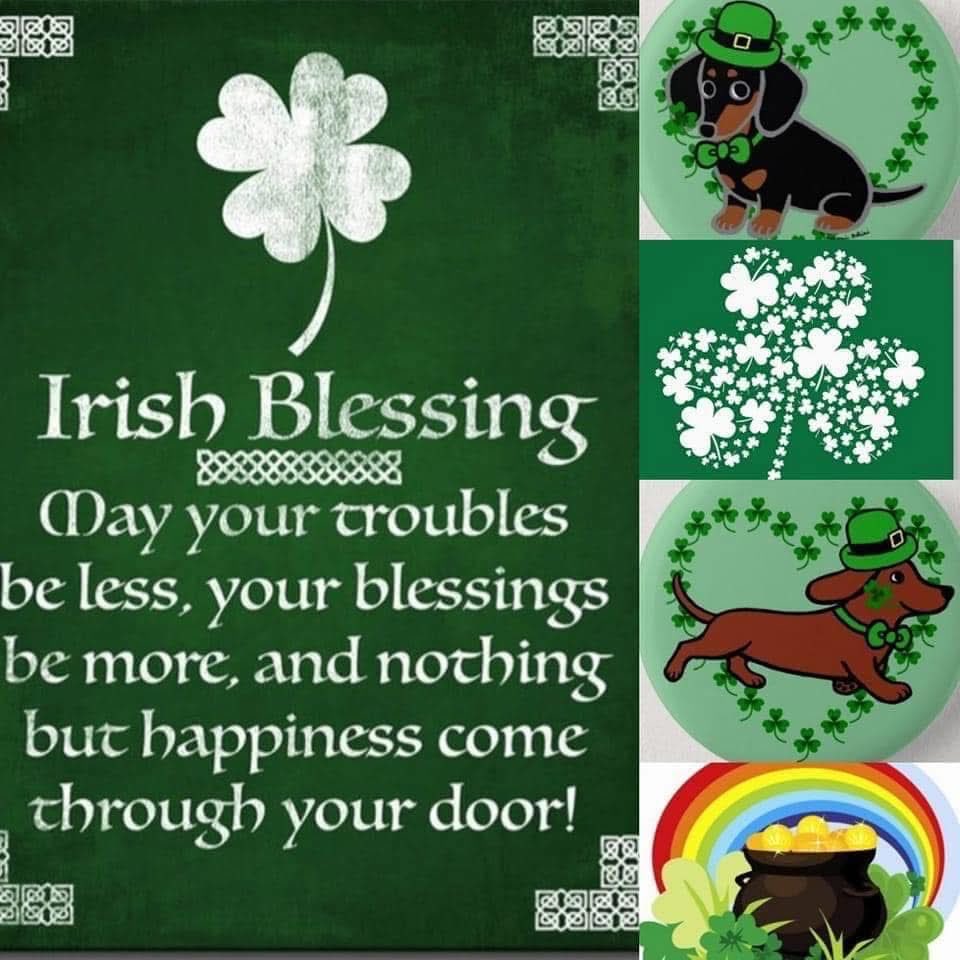 @KShannon💎 tweet media