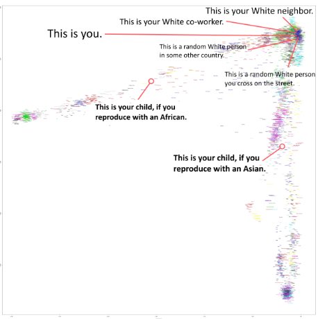 Tweet Protocol tweet media