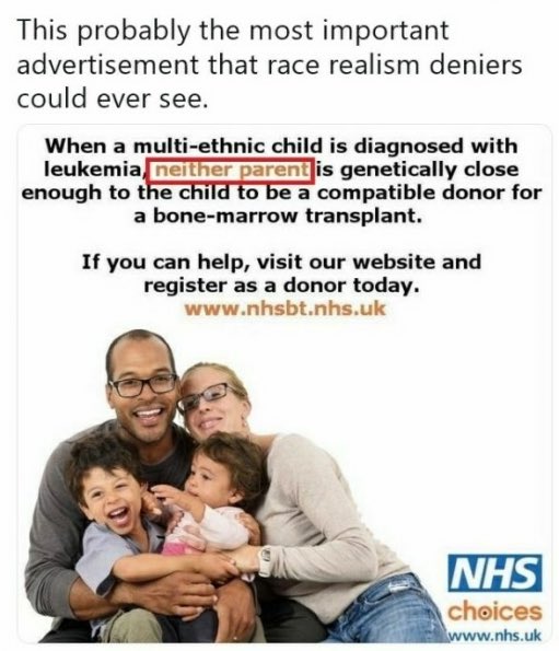 Tweet Protocol tweet media