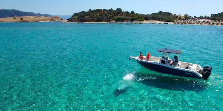 Le Petit Monde tweet media