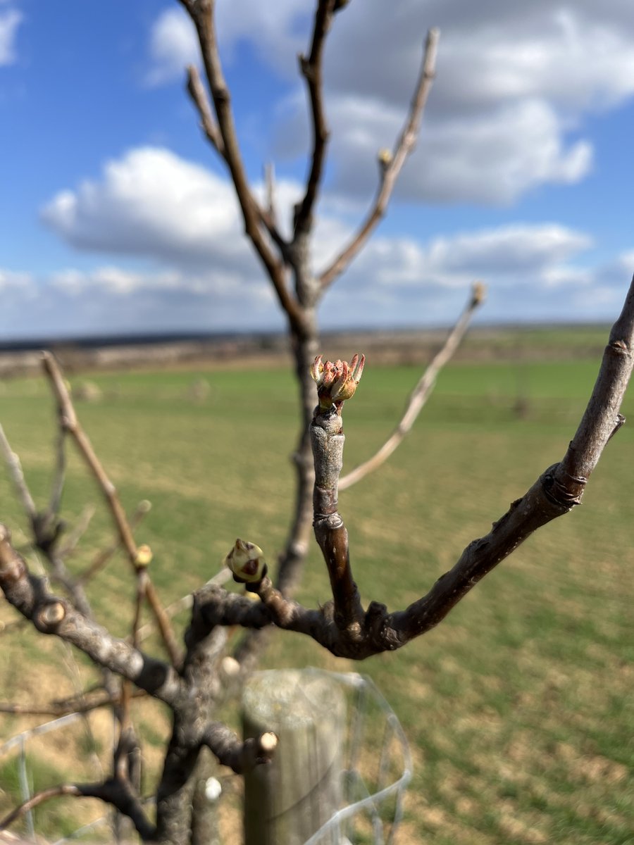 David Ježek 🚜 tweet media